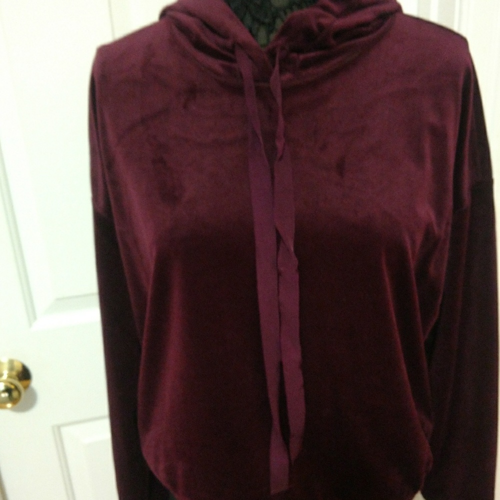 Burgundy Velour  Hooded Sweatshirt